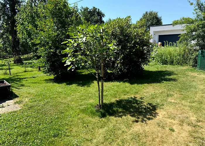 Apartment Ruheoase Am Bach In Lafnitz *